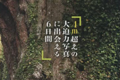写真家 山﨑美喜男の世界